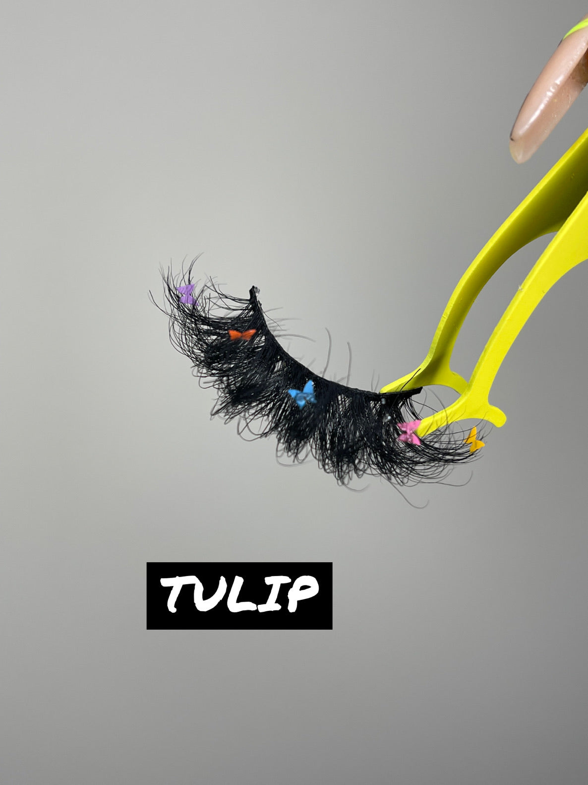 TULIP